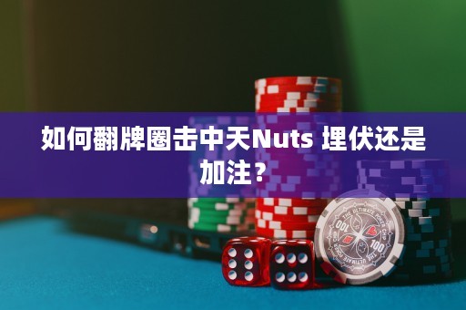 如何翻牌圈击中天Nuts 埋伏还是加注？