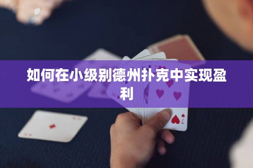 如何在小级别德州扑克中实现盈利