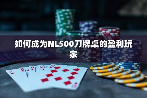 如何成为NL500刀牌桌的盈利玩家